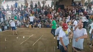 Naka isa sa tunay na sabongan
