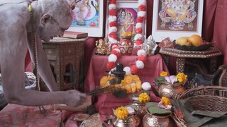 ANU Official  (2023) Family Film
