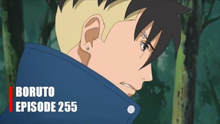 BORUTO EPISODE 255 BAHASA INDONESIA