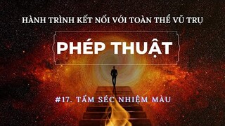 #19. Ngày Thứ 17: Tấm Séc Nhiệm Màu - Bí Mật Phép Thuật Hấp Dẫn Sự Giàu Có và Thịnh Vượng