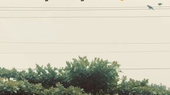 একটু ভালো বাসো আমায় 😌🥺🖤
