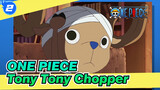 ONE PIECE|Tony Tony Chopper_2