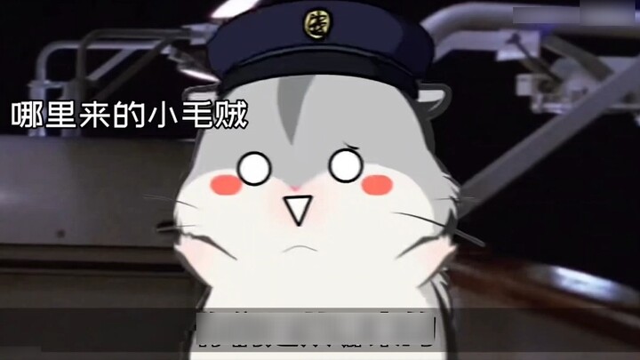 Hamster Jumps into the Sea [Little John Khan Animation]