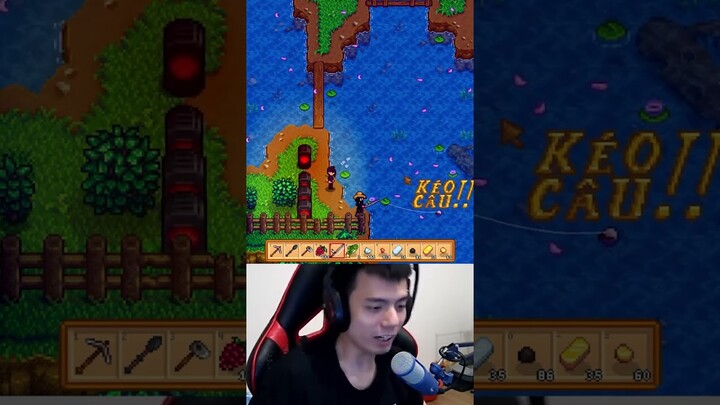 Sai lầm căn bản trong Stardew Valley