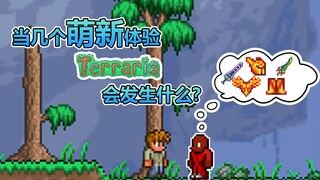 Newbie tries Terraria!!