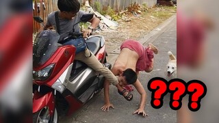 KHI CON CHÓ NHÀ BẠN QUÁ VÔ DỤNG....