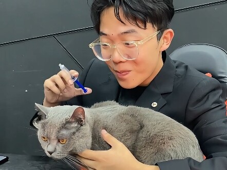 เรื่องเล่าขำขันเกี่ยวกับคนรักแมวแบบหักมุม