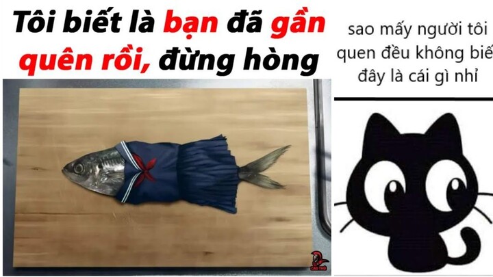 "đừng hòng bạn ưi"