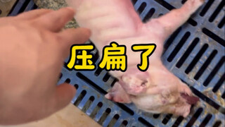 Crushed by mom—be more careful next time!