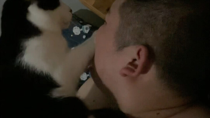 【บันทึกเจ้าหน้าที่รักษาความปลอดภัย - สัตว์อัญเชิญ】วิดีโอล่าสุดปล่อยแล้ว ฝากติดตามด้วยนะ!