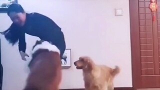 No need to go to the arcade—these two have already determined the winner.