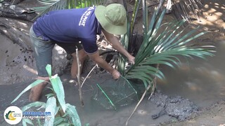 Út Quang Cắt 12 Cửa Ngục Đuổi Cá Lòng Tong | Hội Ngộ Miền Tây - Tập 601