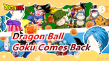 [Dragon Ball / 480P/DVDrip] Come Back, Goku And His Friends!_5