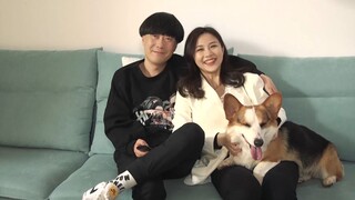 陈翔六点半：一狗，三人，四个故事