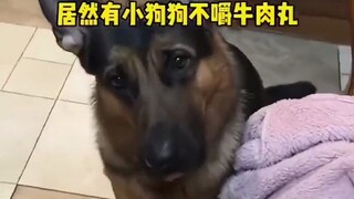 Anak anjing: Aku anjing sungguhan, dan kalian berdua pun demikian.