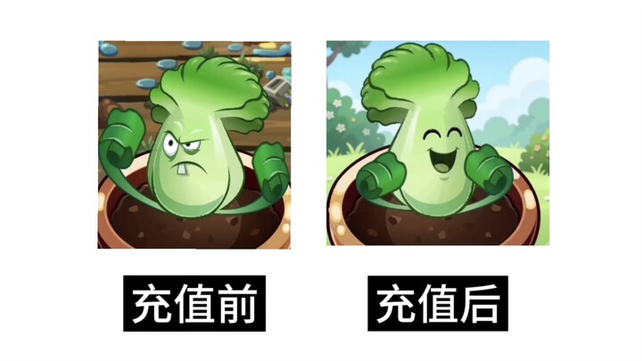 He squandered his entire fortune just to win a single smile from the beautiful plant.