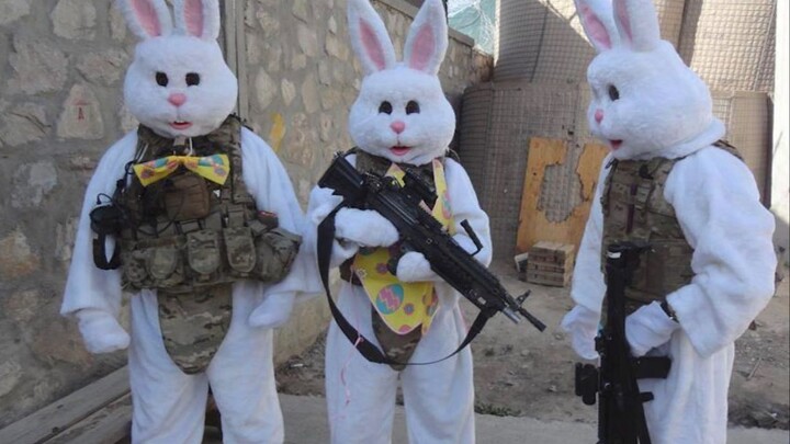 مختارات مقاطع فيديو طريفة من الخارج + جائزة السلوكيات المربكة للحيوانات #125