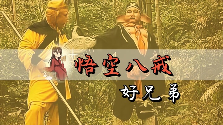 Tại sao Tôn Ngộ Không lại đối xử rất lịch sự với Sa Tăng?
