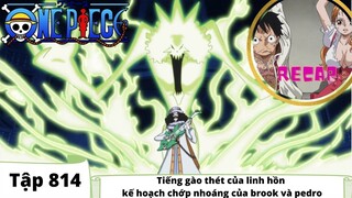 One Piece Tập 814 | Tiếng gào thét của linh hồn kế hoạch của Brook và Pedro | Đảo Hải Tặc Tóm Tắt