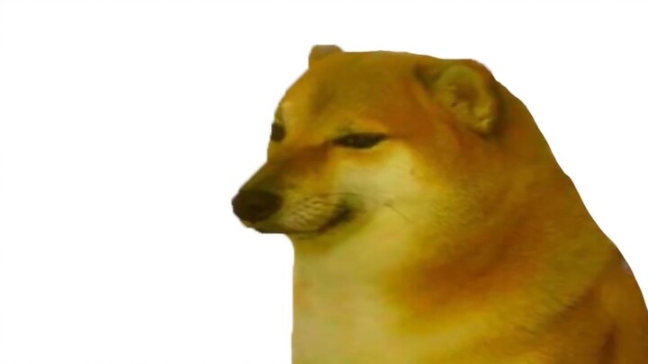Puppy.mp4