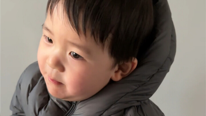 French Fries vs. Potatoes