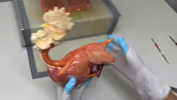 คุณเชื่อไหมว่าคุณสามารถปั้นไก่ด้วยน้ำตาลทรายขาวได้?