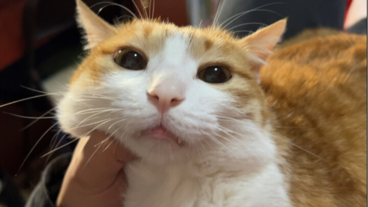 Cat: You know, I lost my mother when I was little...