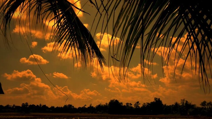 Em ơi đừng sầu