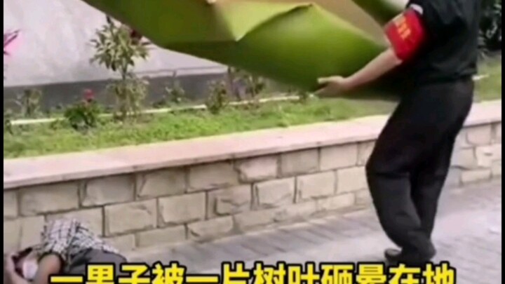 Some fallen leaves in the south are no joke! A man was knocked unconscious by a single leaf!