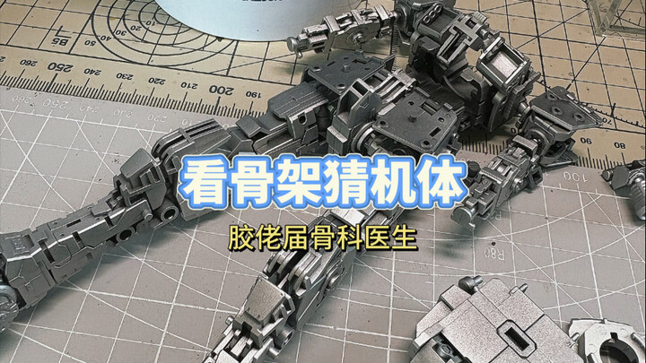 塑料随堂测试：看骨架猜机体