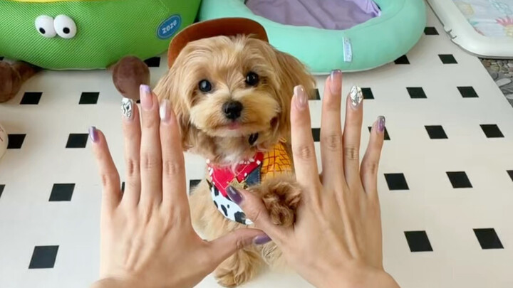 Yellow rice cake dog’s first-ever cosplay…