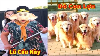 Thú Cưng TV | Trứng Vàng và Trứng Bạc #53 | Chó Golden Gâu Đần thông minh vui nhộn | Pets smart dog