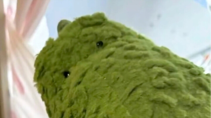 Little Dinosaur: Super shy—I can’t even bring myself to look people in the eye.