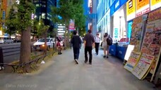 Tokyo Akihabara🐶Receive a flyer♪💖4K non-stop 1 hour