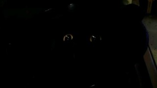 我家锅长眼睛了！咋整？