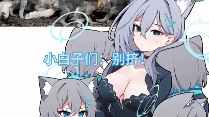 بعض الأمور اليومية للبلاك زي