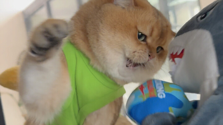 น่ารักมาก อยากทำให้มันร้องไห้เลย