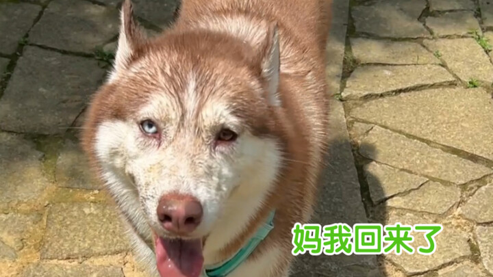 อย่าเข้าใกล้ทุ่งนาโดยพลการ…จะทำให้โชคร้าย
