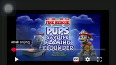 Paw patrol Musim 11 Episode 22 Bahasa indonesia (Diperbarui)