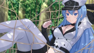 [Esdeath/Penyembuhan/Putri] Di dunia lain, sembuhkan luka kematian Ratu Ace!