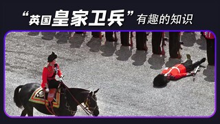 「千奇百趣」竟然是因为这样？关于”英国皇家卫兵“的两个有趣知识