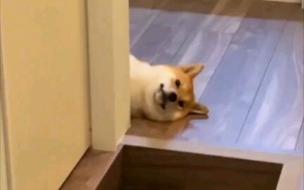 Love you, but perfunctory