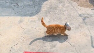 悬着的心终于似了