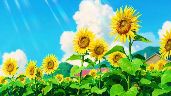 anime be like every opening