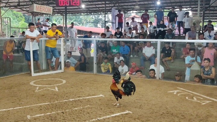 KCSA 3 HITS ULUTAN 2ND FIGHT RAPTOR SWEATER WIN!!!