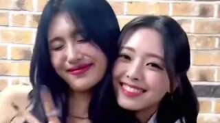 楼梯组合上线！【ITZY+EVERGLOW】新歌CAKE舞蹈！