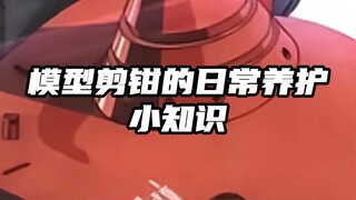 模型剪钳保养小知识，你们都是怎么保养的？