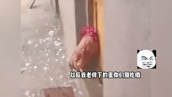 ไม่ใช่เพื่อน