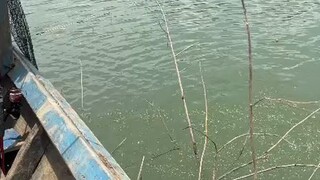 mancing gurame di bendungan Batu tegi Lampung