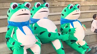 盘点网红青蛙奇遇记，这网红青蛙也太可爱了吧！